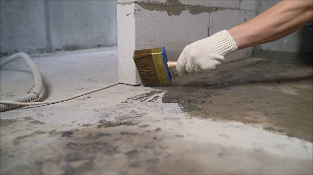24/7 Emergency Exterior Waterproofing experts in Shelbyville, TN